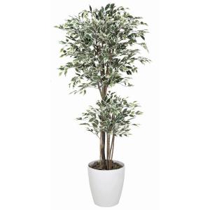 《アートグリーン》《人工観葉植物》光触媒　光の楽園　トロピカルベンジャミン斑入り１．６｜cloverplain