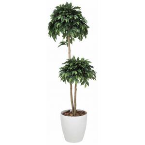 《アートグリーン》《人工観葉植物》光触媒　光の楽園　ベンジャミンダブル１．６｜cloverplain