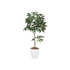 《アートグリーン》《人工観葉植物》光触媒　光の楽園　パキラトピアリ―１．５｜cloverplain