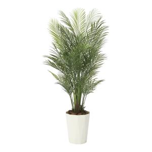 《アートグリーン》《人工観葉植物》光触媒　光の楽園　アレカパ−ム１．７（ポリ製）｜cloverplain