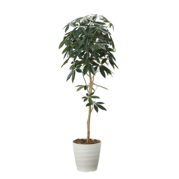 《アートグリーン》《人工観葉植物》光触媒　光の楽園　デザインパキラ１．６