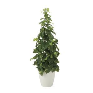 《アートグリーン》《人工観葉植物》光触媒　光の楽園　フレッシュポトス１．２｜cloverplain