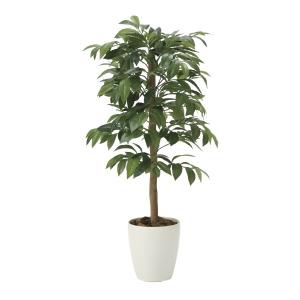 《アートグリーン》《人工観葉植物》光触媒　光の楽園　アルデシア（万両）９０｜cloverplain