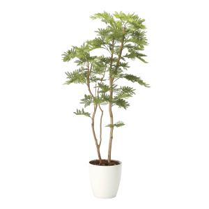 《アートグリーン》《人工観葉植物》光触媒　光の楽園　ねむの木１．６（ポリ製）｜cloverplain