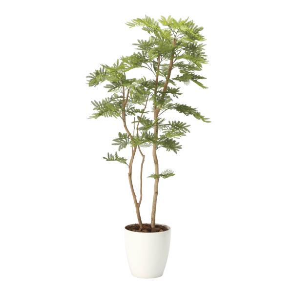 《アートグリーン》《人工観葉植物》光触媒　光の楽園　ねむの木１．６（ポリ製）