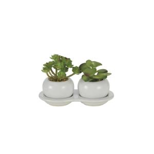 《アートグリーン》《人工観葉植物》 光触媒　光の楽園　ダブル多肉ポットB(ポリ製)｜cloverplain