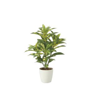 《アートグリーン》《人工観葉植物》 光触媒　光の楽園　クロトン｜cloverplain