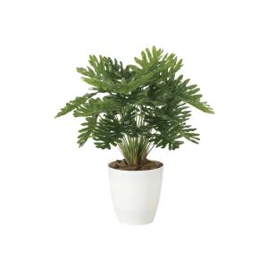 《アートグリーン》《人工観葉植物》 光触媒　光の楽園　フレッシュクッカバラM｜cloverplain