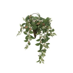《アートグリーン》《人工観葉植物》 光触媒　光の楽園　壁掛けツートンホヤ｜cloverplain