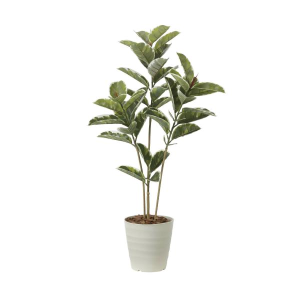 《アートグリーン》《人工観葉植物》 光触媒　光の楽園　アルテシマ1.2