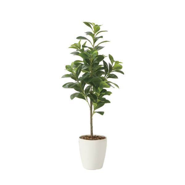 《アートグリーン》《人工観葉植物》 光触媒　光の楽園　フレッシュマネーツリー90