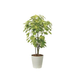 《アートグリーン》《人工観葉植物》 光触媒　光の楽園　ペリーラ1.0｜cloverplain