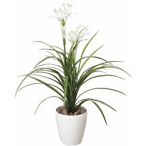 《アートグリーン》《人工観葉植物》光触媒　光の楽園　ユッカ花付｜cloverplain