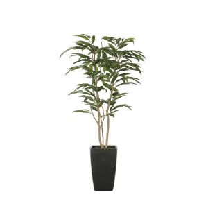 《アートグリーン》《人工観葉植物》 光触媒　光の楽園　アーバンアムステルラバーキング1.8｜cloverplain
