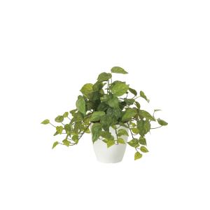 《アートグリーン》《人工観葉植物》 光触媒　光の楽園　フレッシュポトス｜cloverplain