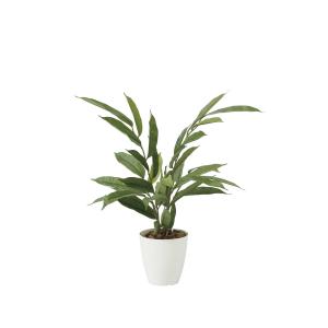 《アートグリーン》《人工観葉植物》 光触媒　光の楽園　アムステルダムキング55｜cloverplain