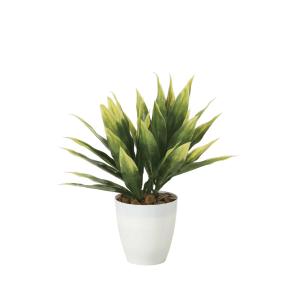 《アートグリーン》《人工観葉植物》 光触媒　光の楽園　ドラセナ(ポリ製)｜cloverplain