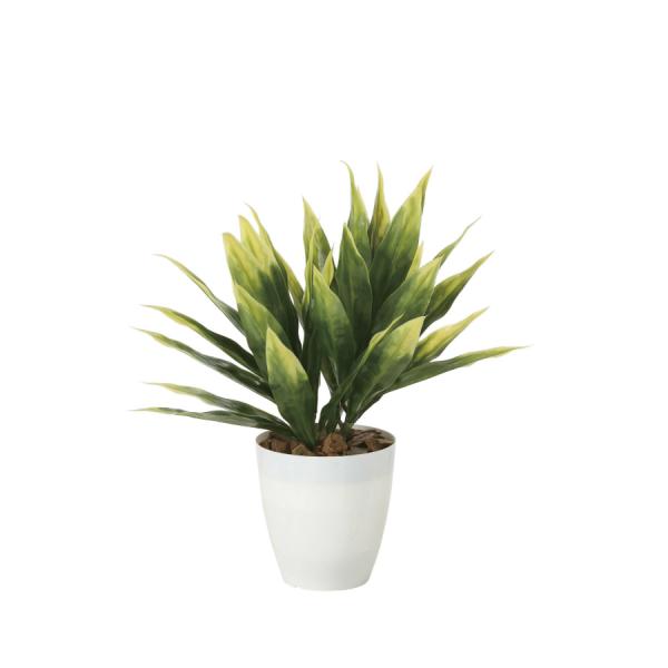 《アートグリーン》《人工観葉植物》 光触媒　光の楽園　ドラセナ(ポリ製)
