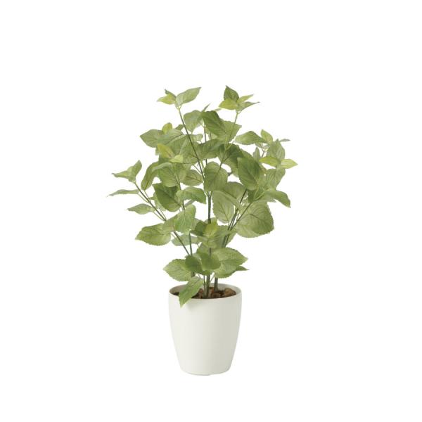 《アートグリーン》《人工観葉植物》 光触媒　光の楽園　ペリーラ70