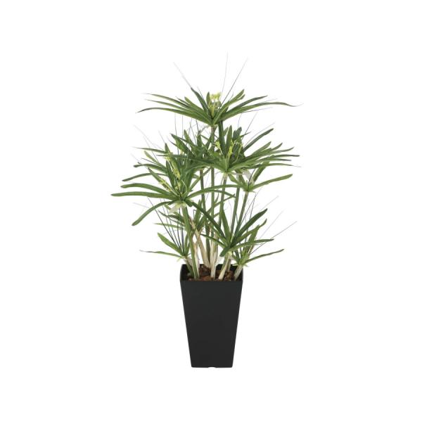 《アートグリーン》《人工観葉植物》 光触媒　光の楽園　パピルス60