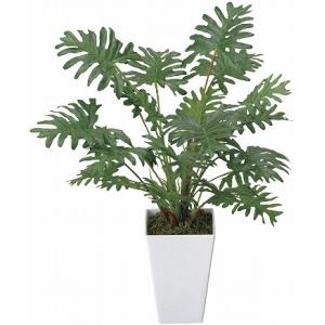 《アートグリーン》《人工観葉植物》光触媒　光の楽園　クッカバラ｜cloverplain