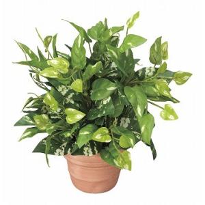 《アートグリーン》《人工観葉植物》光触媒　光の楽園　ポトスＳ