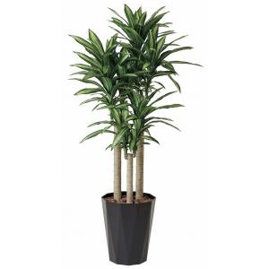 《アートグリーン》《人工観葉植物》光触媒　光の楽園　幸福の木１．８｜cloverplain