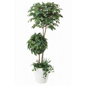 《アートグリーン》《人工観葉植物》光触媒　光の楽園　ベンジャミンダブルフェイス植栽付１．８｜cloverplain