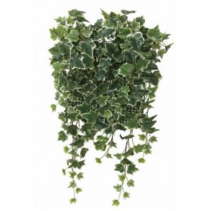 《アートグリーン》《人工観葉植物》光触媒　光の楽園　壁面緑化斑入アイビ−｜cloverplain