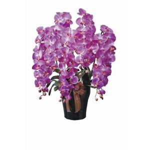 《アートフラワー》《人工観葉植物》光触媒　光の楽園　ロイヤル胡蝶蘭５本立Ｌ｜cloverplain