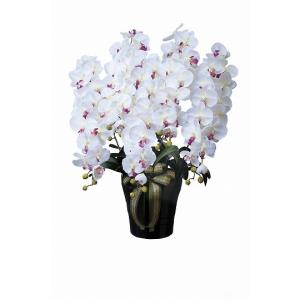 《アートフラワー》《人工観葉植物》光触媒　光の楽園　ロイヤル胡蝶蘭５本立Ｗ／ＡＢ｜cloverplain