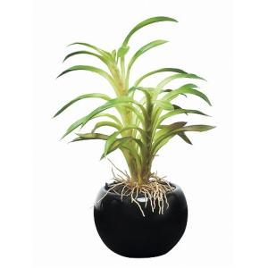 《アートグリーン》《人工観葉植物》光触媒　光の楽園　カクタスインポット｜cloverplain