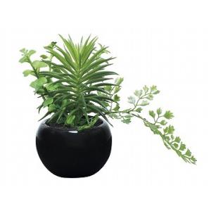 《アートグリーン》《人工観葉植物》光触媒　光の楽園　ミックスインポット｜cloverplain