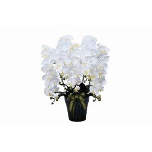 《アートフラワー》《人工観葉植物》光触媒　光の楽園　ロイヤル胡蝶蘭５本立W｜cloverplain