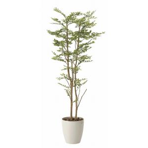 《アートグリーン》《人工観葉植物》光触媒　光の楽園　ゴ―ルデンリ―フ　１．６｜cloverplain