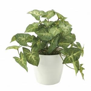 《アートグリーン》《人工観葉植物》光触媒　光の楽園　フレッシュカラ−ジュ−ムＳ｜cloverplain