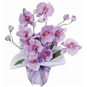 《アートフラワー》《造花》光触媒　光の楽園　ホットファレノ｜cloverplain
