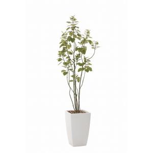 《アートグリーン》《人工観葉植物》光触媒　光の楽園　アーバンブランチツリー1.9｜cloverplain