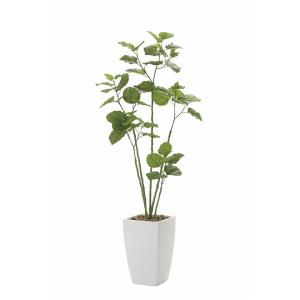 《アートグリーン》《人工観葉植物》光触媒　光の楽園　アーバンブランチウンベラータ1.9｜cloverplain