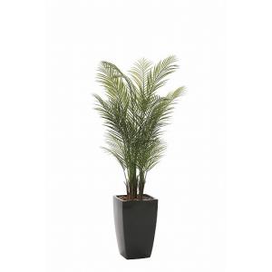 《アートグリーン》《人工観葉植物》光触媒　光の楽園　アーバンアレカパーム1.7（ポリ製）｜cloverplain
