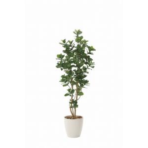 《アートグリーン》《人工観葉植物》光触媒　光の楽園　クルシア1.6｜cloverplain