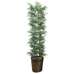 《竹・バンブー》《アートグリーン》《人工観葉植物》光触媒　光の楽園　黒竹1.8（幹：天然黒竹）｜cloverplain