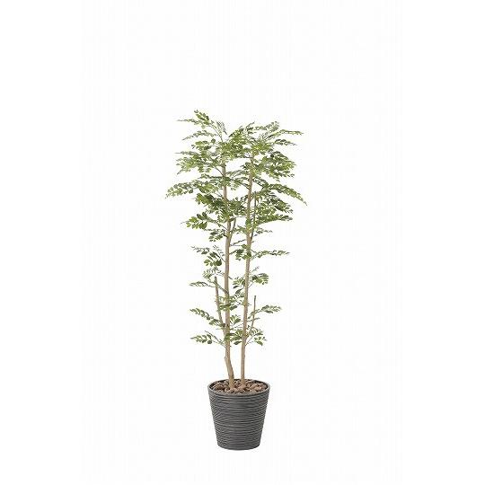 《アートグリーン》《人工観葉植物》光触媒　光の楽園　ゴ―ルデンツリ―１．６