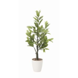 《アートグリーン》《人工観葉植物》光触媒　光の楽園　レモン１．０