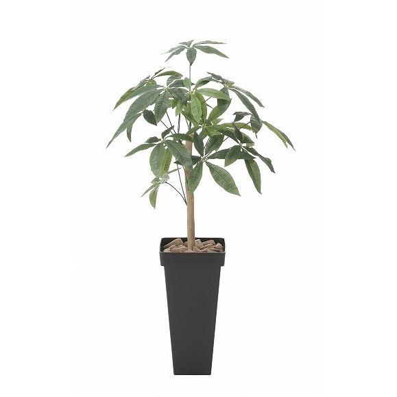 《アートグリーン》《人工観葉植物》光触媒　光の楽園　スリムパキラ１．０