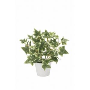 《アートグリーン》《人工観葉植物》光触媒　光の楽園　斑入りアイビ―｜cloverplain