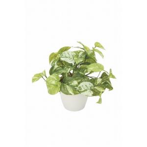 《アートグリーン》《人工観葉植物》光触媒　光の楽園　マ―ブルポトス｜cloverplain