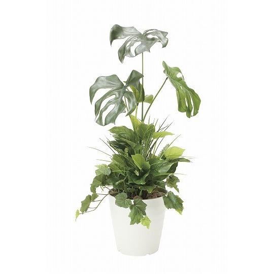 《アートグリーン》《人工観葉植物》光触媒　光の楽園　モンステラ９０植栽付