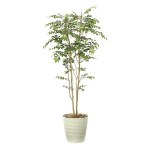《アートグリーン》《人工観葉植物》光触媒　光の楽園　マウンテンアッシュ１．８｜cloverplain