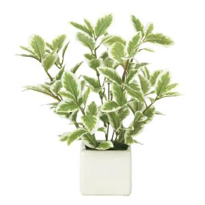 《アートグリーン》《人工観葉植物》<br>光触媒　光の楽園　ミニリーフＧ／Ｗ｜cloverplain